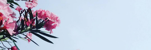 handmadelizzie's profile banner image