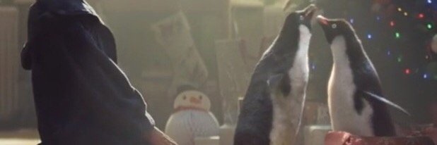 MabelPenguin's profile banner image