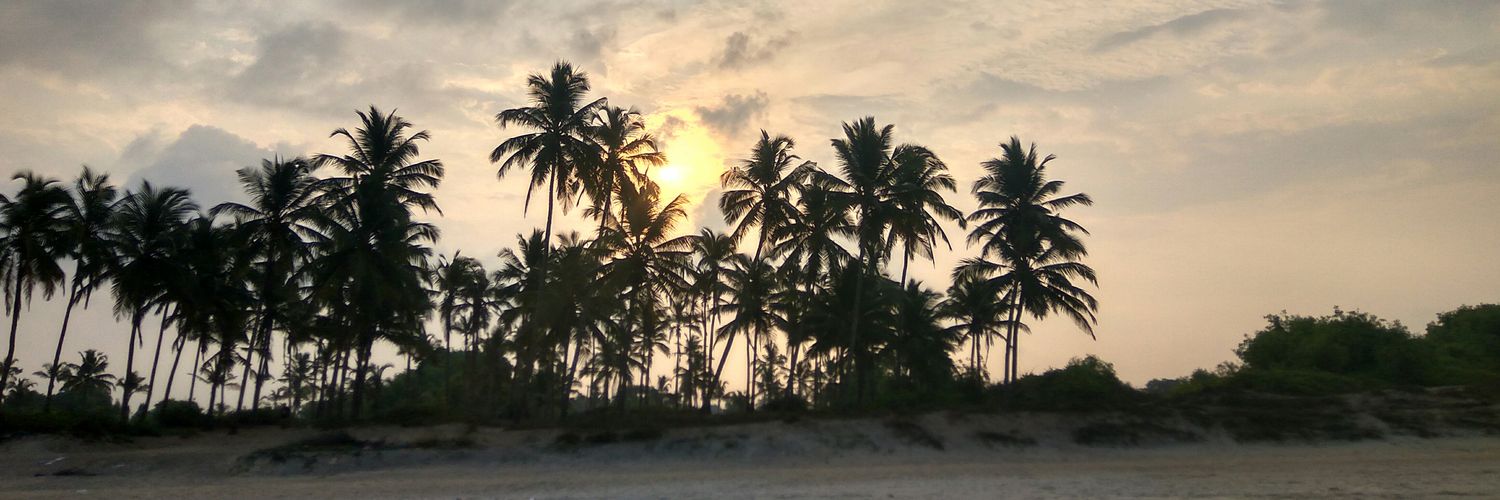 savyo_colaco's profile banner image