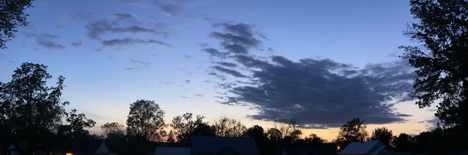 meganrust's profile banner image