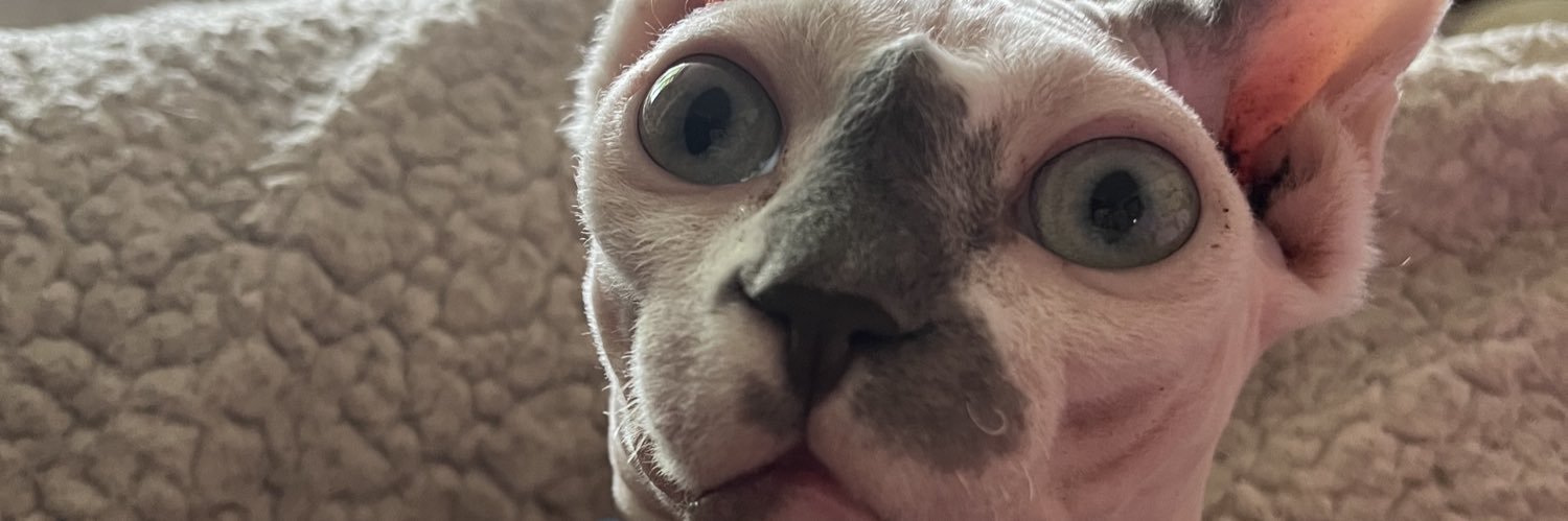 jchaps2's profile banner image