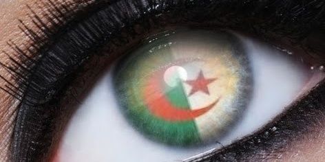 5cfceddd9dea481's profile banner image