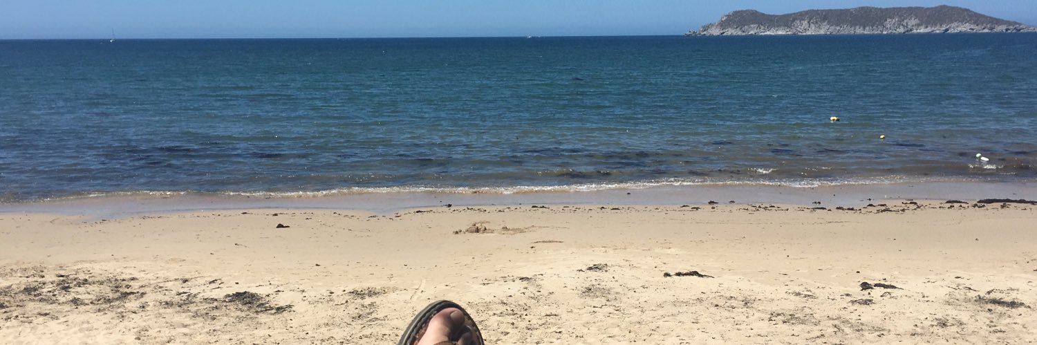 Jose Luis Rangel M. banner