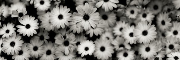 Lu_smanii's profile banner image
