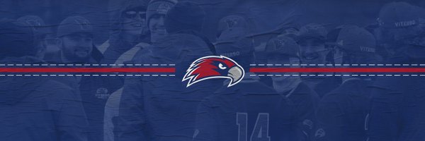 VHawkBaseball Profile Banner