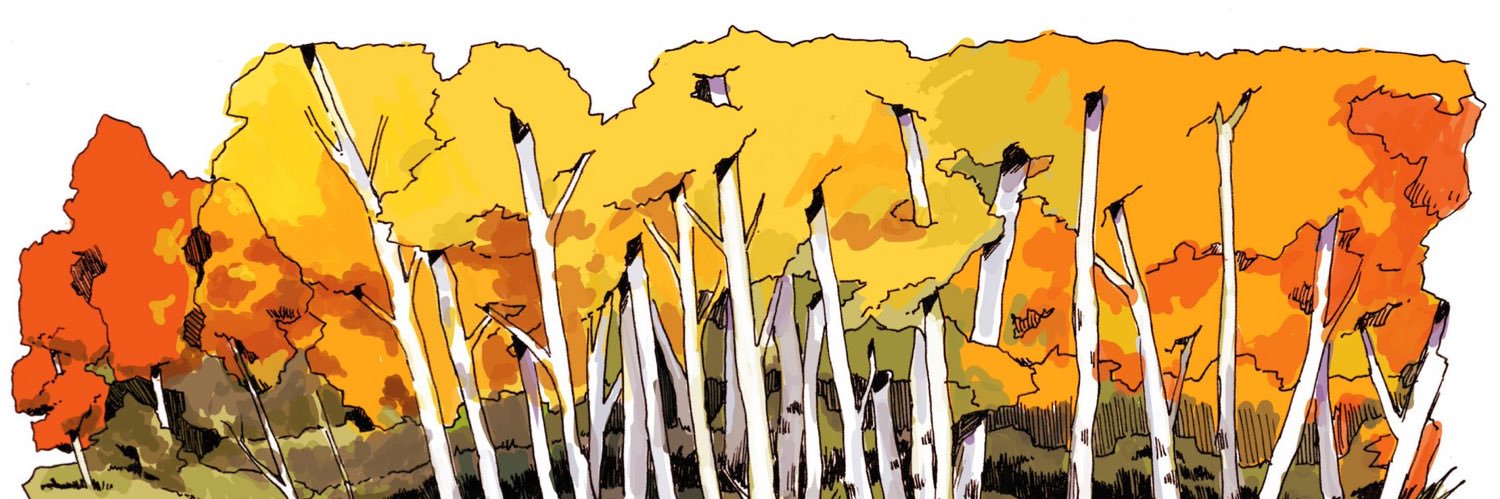 tachyglossa's profile banner image