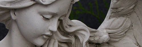 Pien 🗣 banner