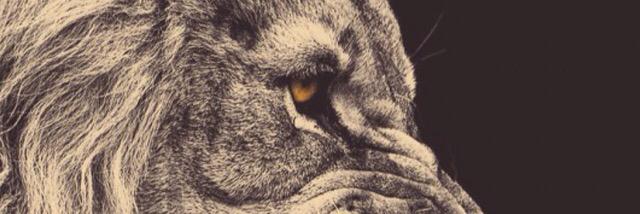 nelson21389's profile banner image