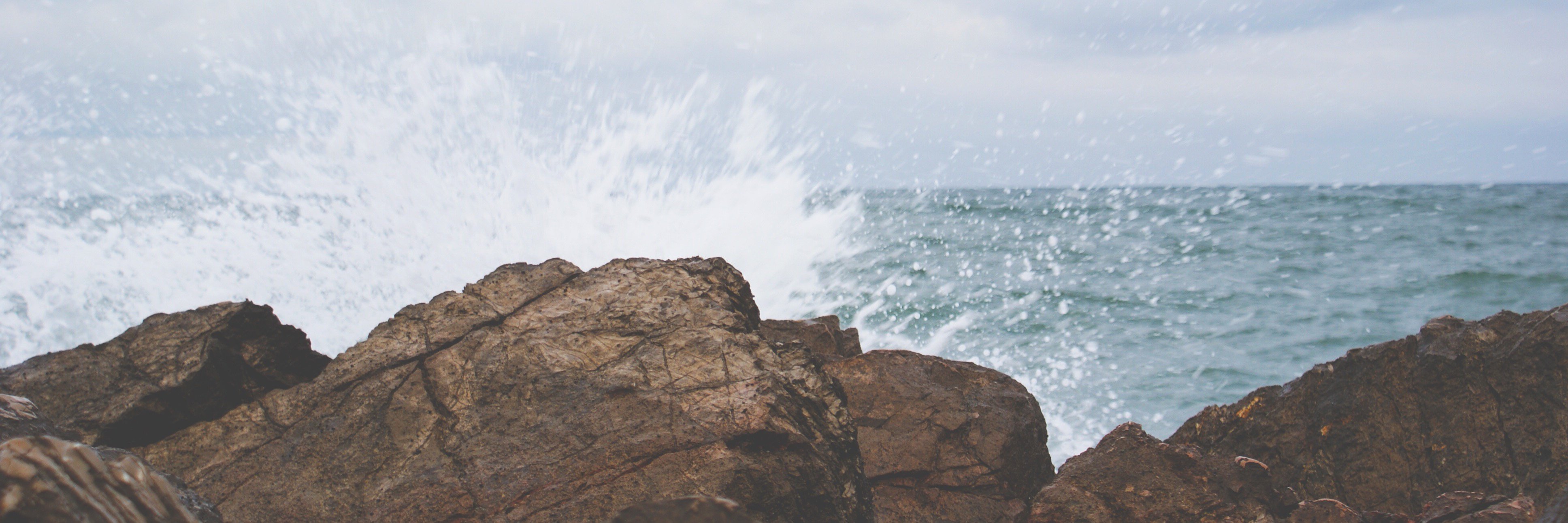 Fam_Community's profile banner image