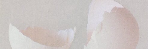 dmaurio's profile banner image