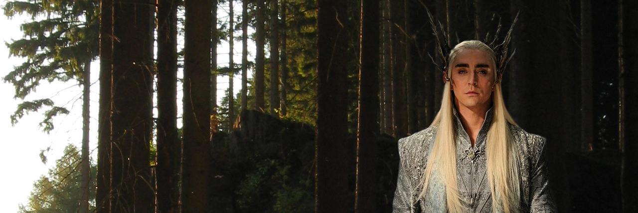 Thranduiel's profile banner image