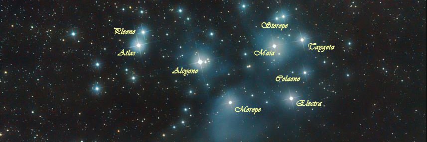 pania_r's profile banner image