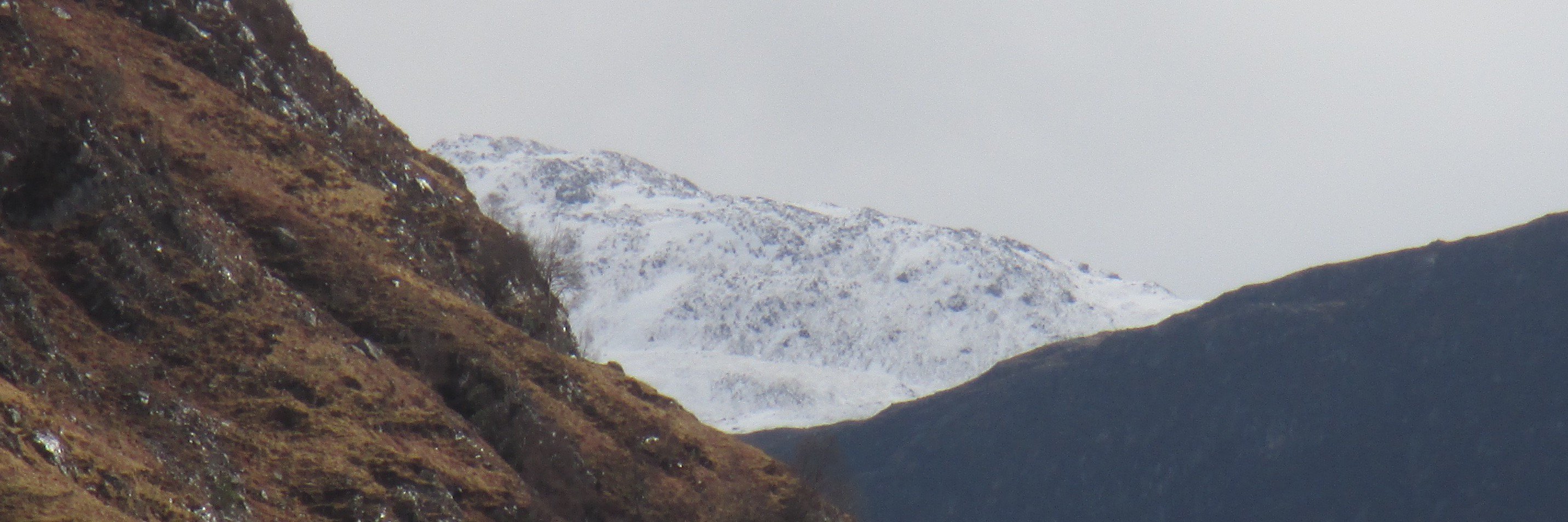 Roderick Hewson #FBPE banner