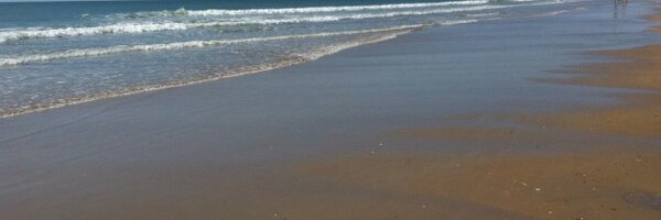 jorge_vazquez4 Profile Banner