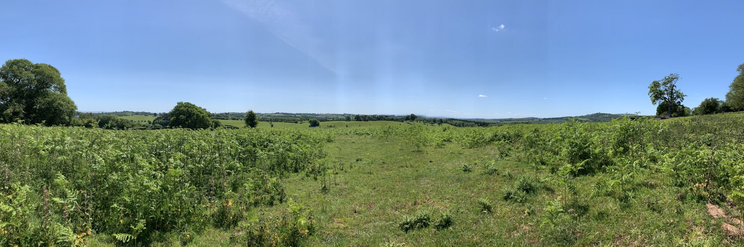 Gemma Mitchell banner