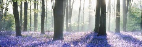 brelet_92's profile banner image