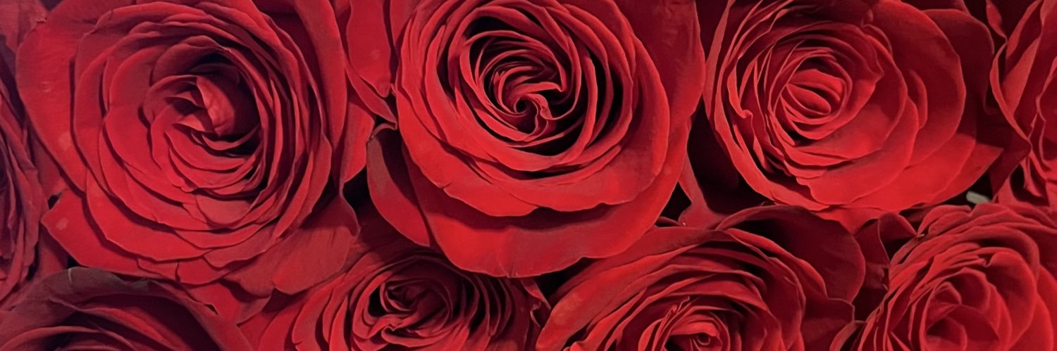 dcanselo's profile banner image