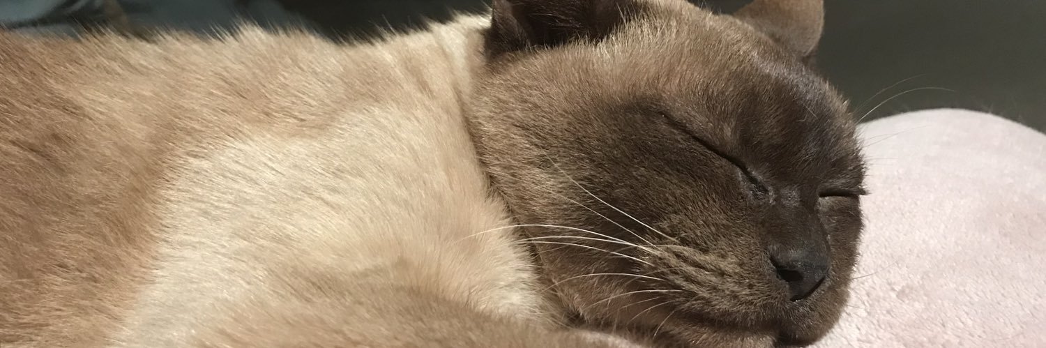 Kwiffiff 😽 🌏✌️🦄 banner