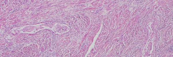 GynPath Profile Banner