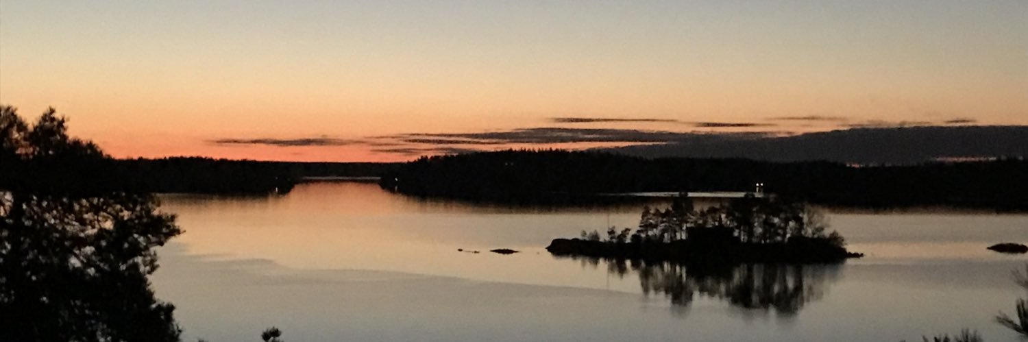 sopa i europa Anders Gustafsson banner