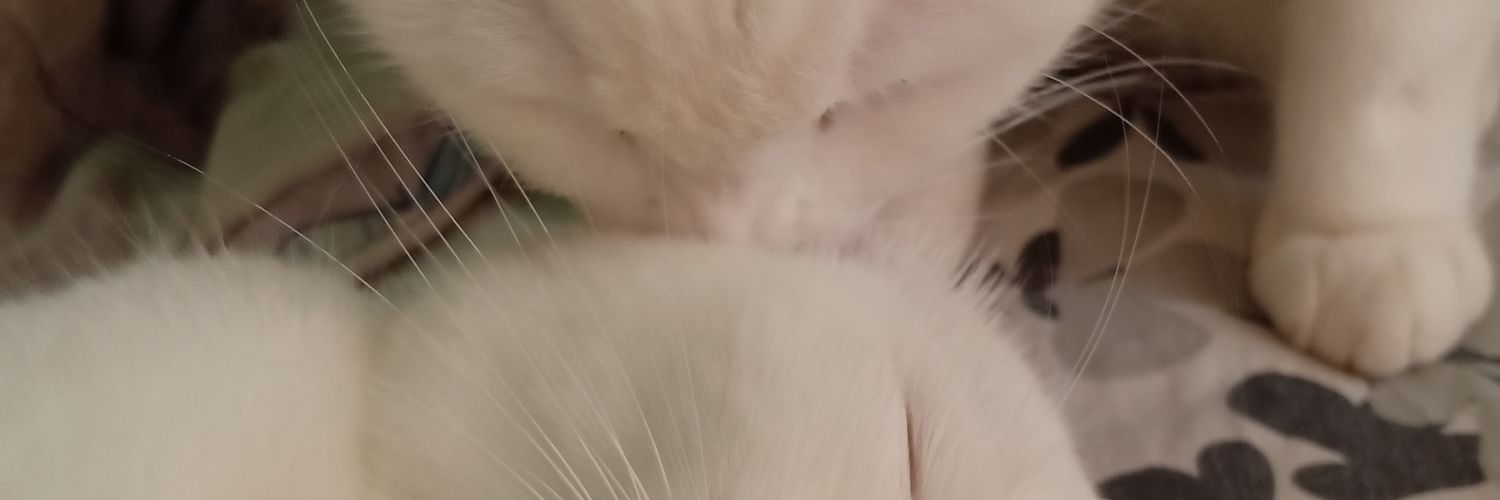 AdelhideDel's profile banner image