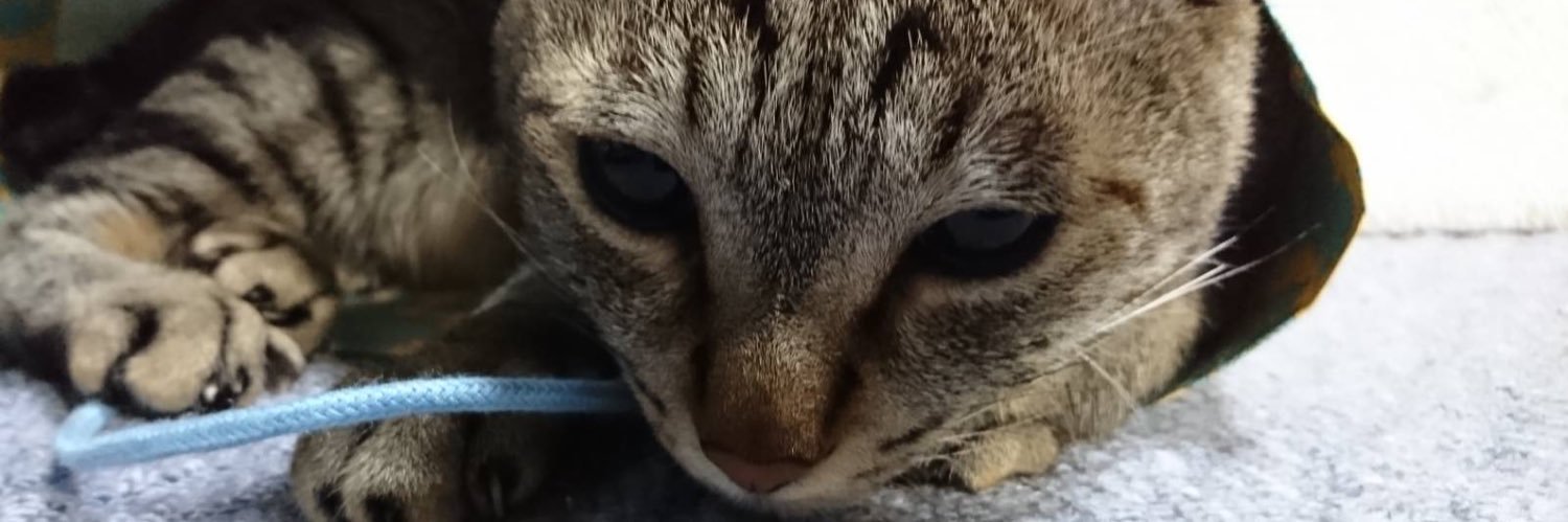 笑い猫 banner