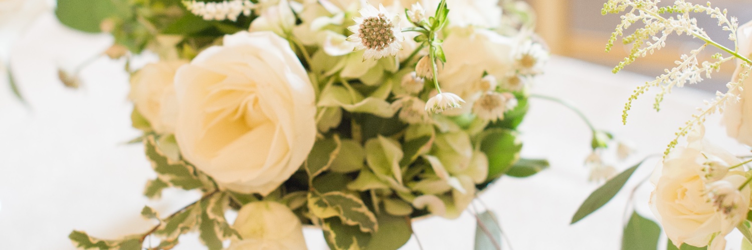 katehorton's profile banner image