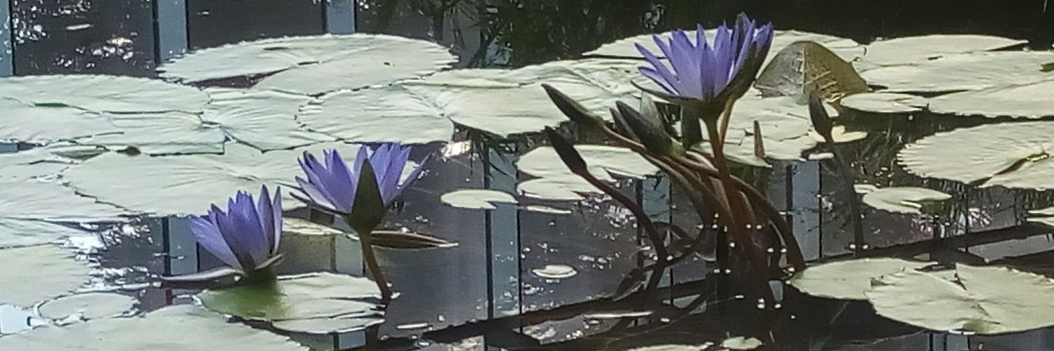 あおし banner