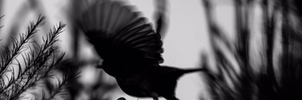 ertugrullmemis's profile banner image