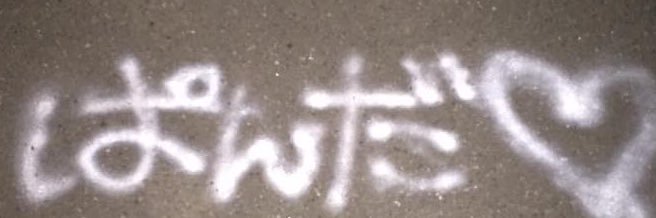 ぱんだ🐼🐾 banner