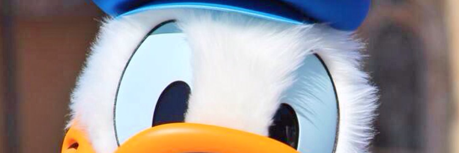 DonaDona___'s profile banner image