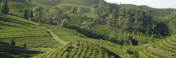 ctcfnepal Profile Banner