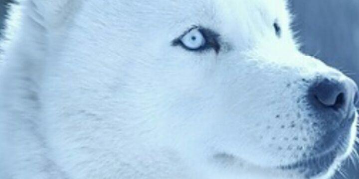 mr_perfect1986's profile banner image