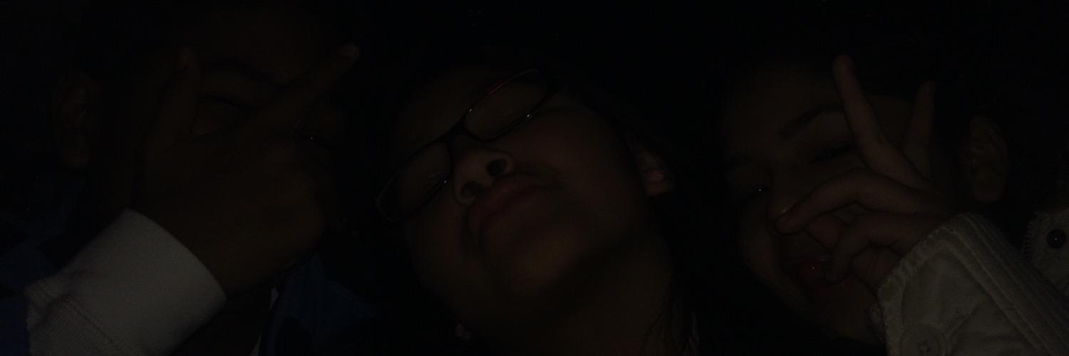 millieissilly's profile banner image