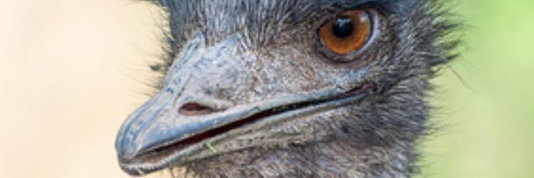 GEUSEYY's profile banner image