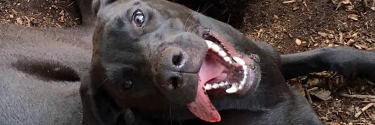 Austingrant86's profile banner image