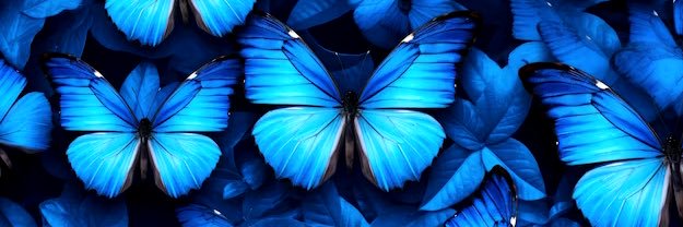 Ñeguito🦋 banner