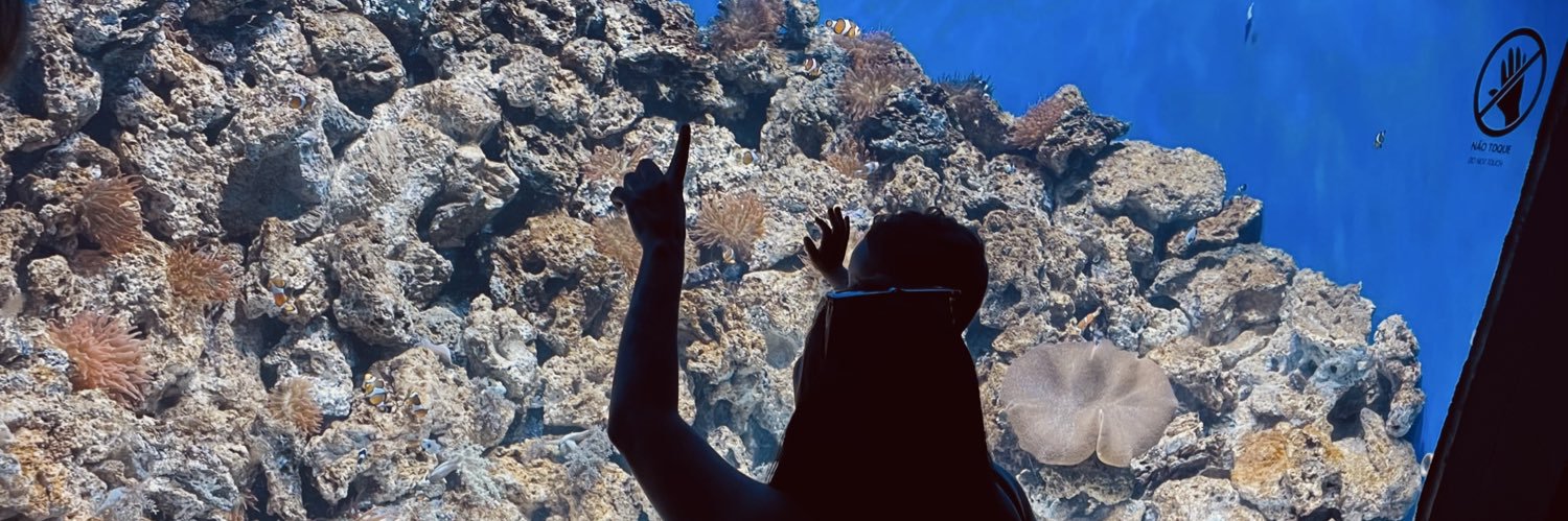 LarissaBelloni's profile banner image