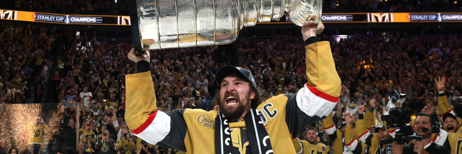 VGKSwizzle's profile banner image