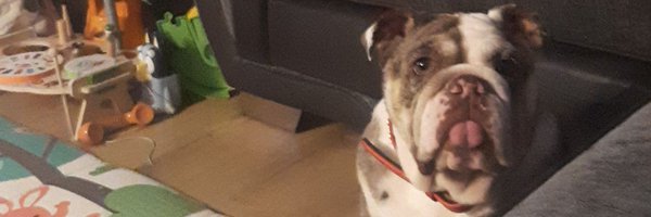 MaxHart44 Profile Banner