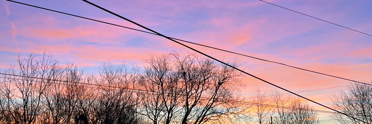 offixialyssa's profile banner image