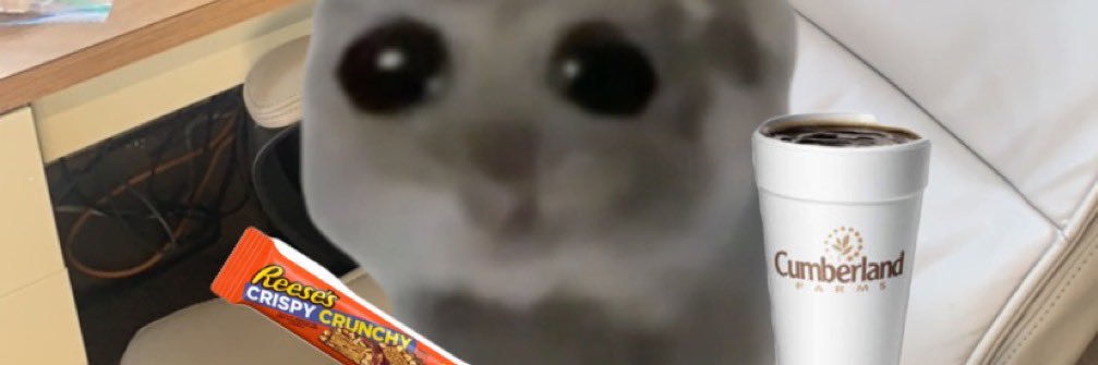 Kayozy_Kaylee's profile banner image