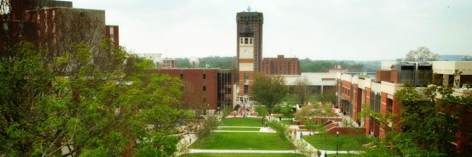 WkuScavenger's profile banner image