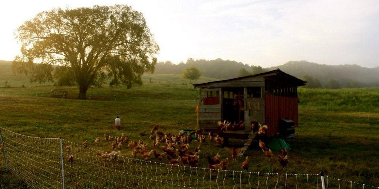 BlackberryFarms's profile banner image