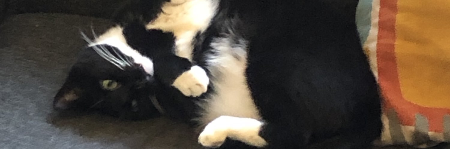 happybluej's profile banner image