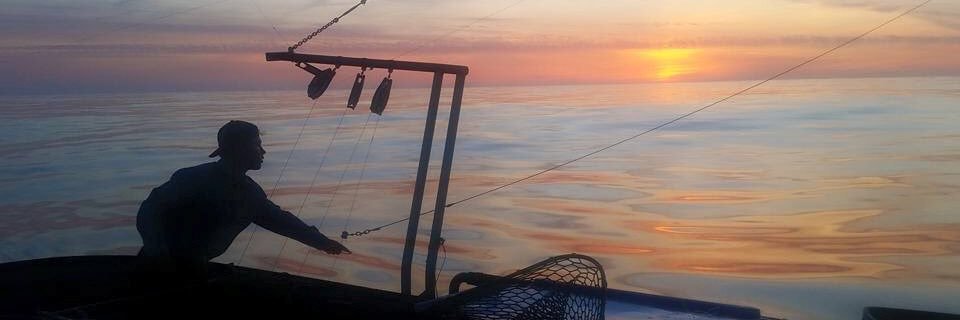 hunte_walker's profile banner image
