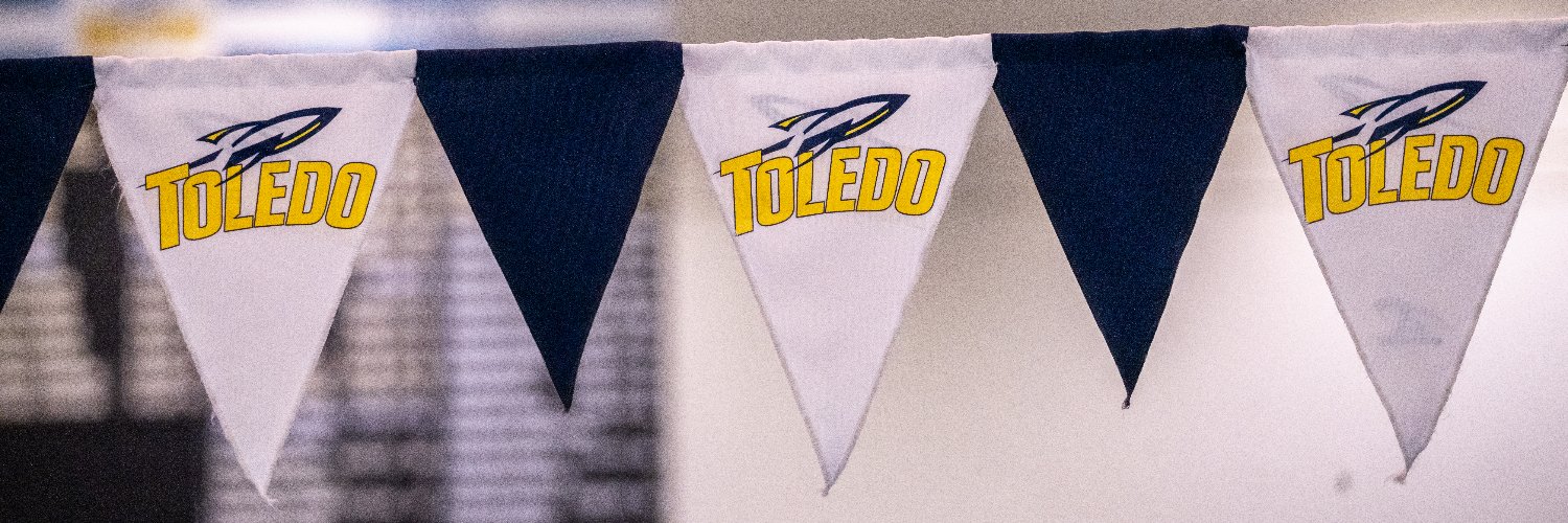 Toledo Swim&Dive banner