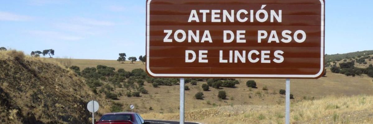 rakel sánchez banner