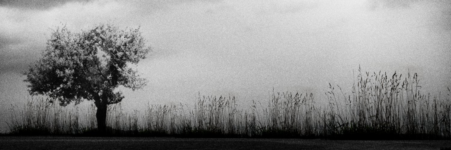 _thepotbellied's profile banner image