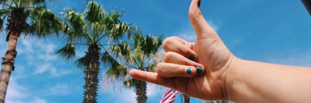 rileyewallace's profile banner image